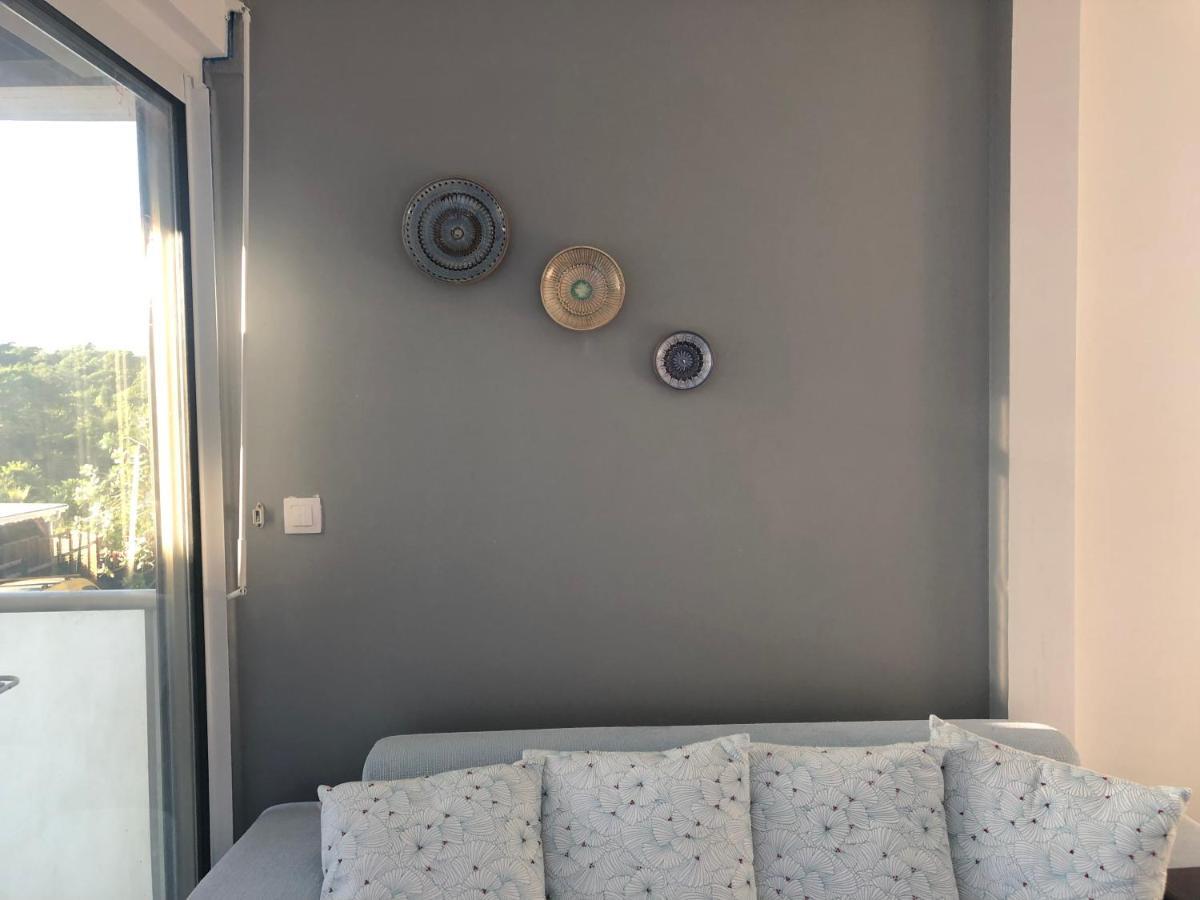 Bleu Cannelle Et Petimo Le Diamant Luaran gambar